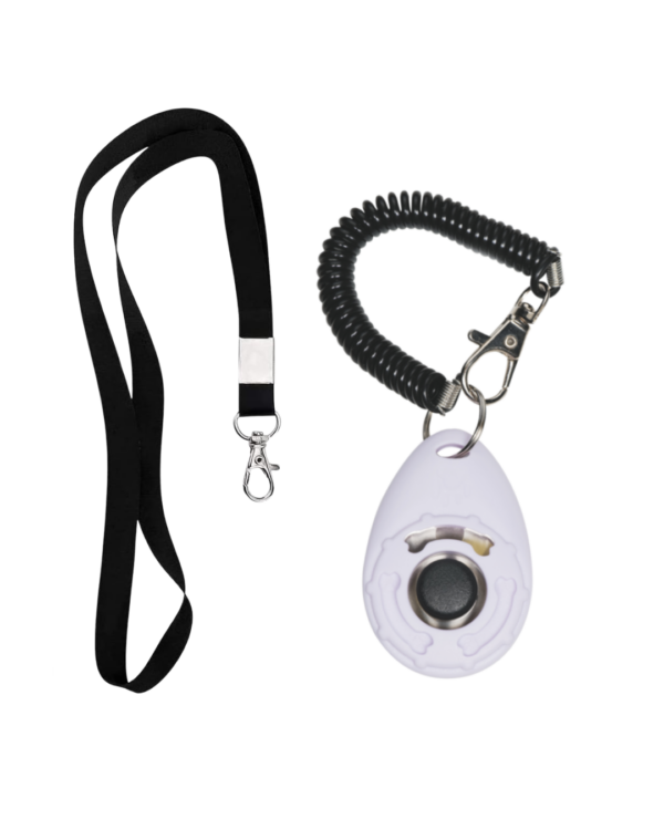 3PCS WHISTLE SET WITH LANYARD AND CLICKER