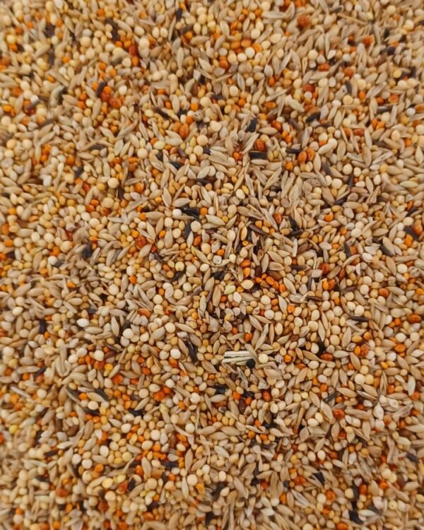 FINCH MIX WITH FRUIT PALLET PER KG