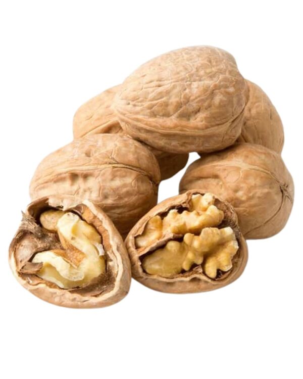 WALNUTS IN SHELL PER KG