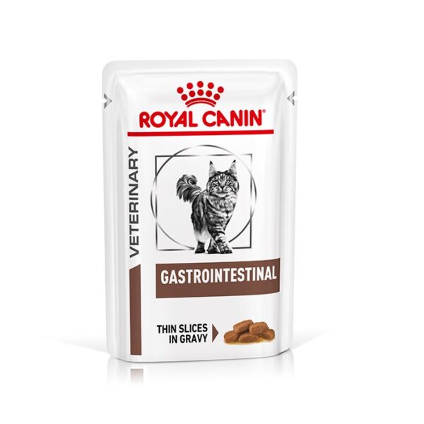 ROYAL CANIN WET CAT FOOD POUCH ( GASTROINTESTINAL ) 85G