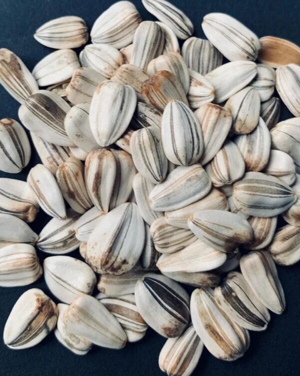 SUNFLOWER SEED WHITE BIG ( BLACK STRIP ) PER KG