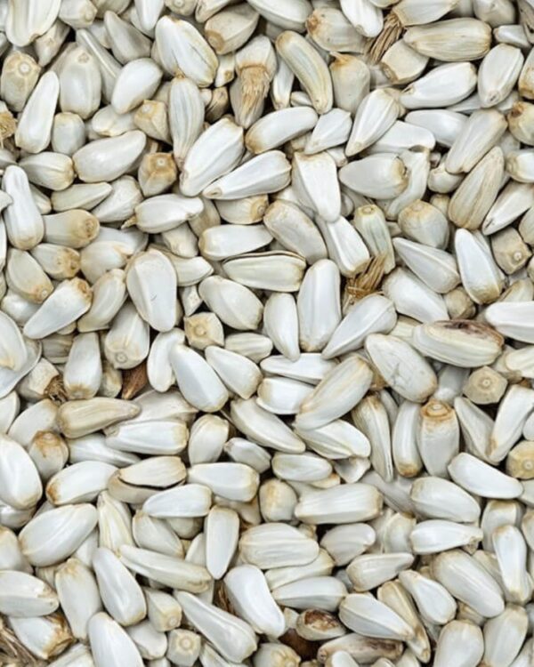 SAFFFLOWER SEED PER KG