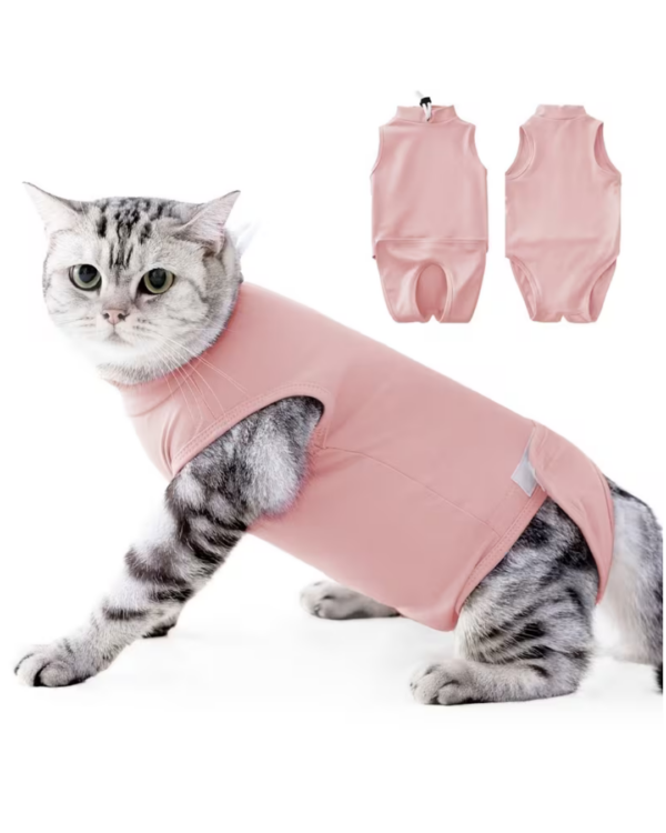 POST SURGERY ONESIE FOR CATS ( M )