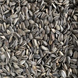 SUNFLOWER SEED BLACK WHITE STRIPE ( SMALL ) PER KG