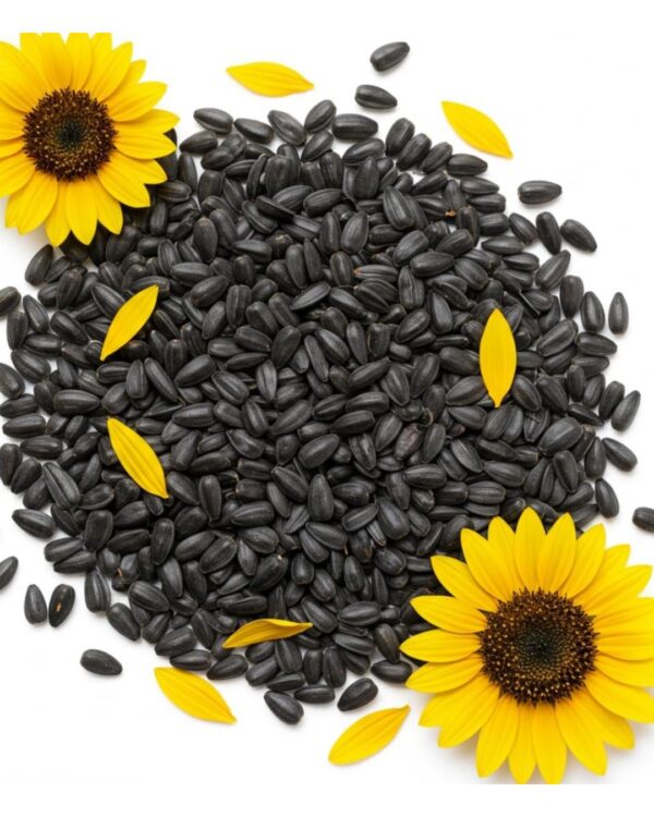 SUNFLOWER SEED BLACK ( SMALL ) PER KG