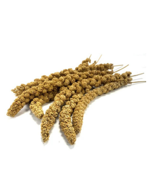 MILLET SPRAY 250G