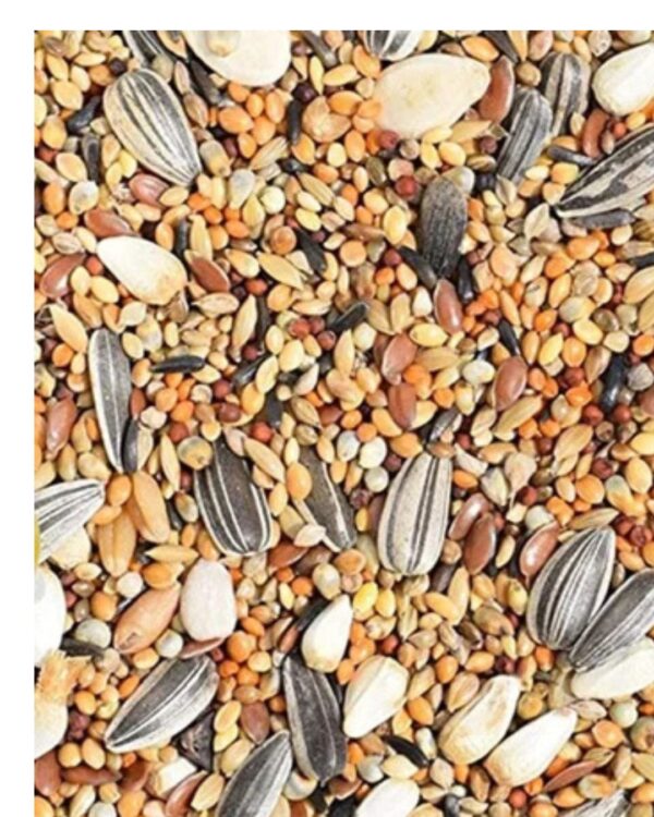 LOVEBIRD MIX PER KG