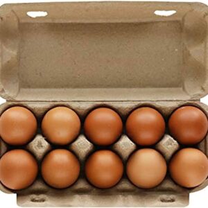 ORGANIC FREE RANGE BROWN EGG CARTON ( 10 EGGS ) – RP