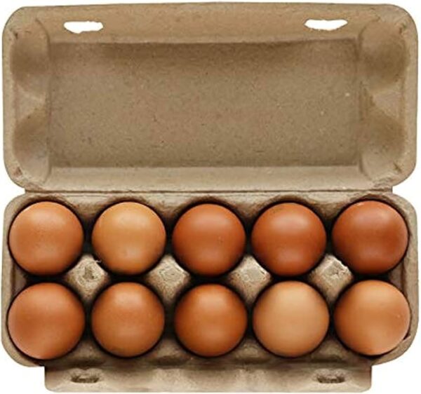 ORGANIC FREE RANGE BROWN EGG CARTON ( 10 EGGS ) - RP