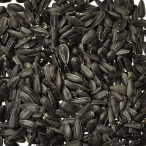SUNFLOWER SEED BLACK ( MEDIUM ) PER KG