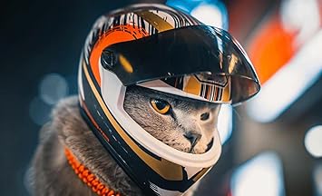 CAT HELMET