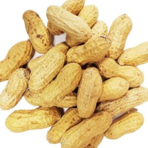 PEANUTS IN SHELL PER KG