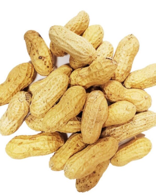 PEANUTS IN SHELL PER KG