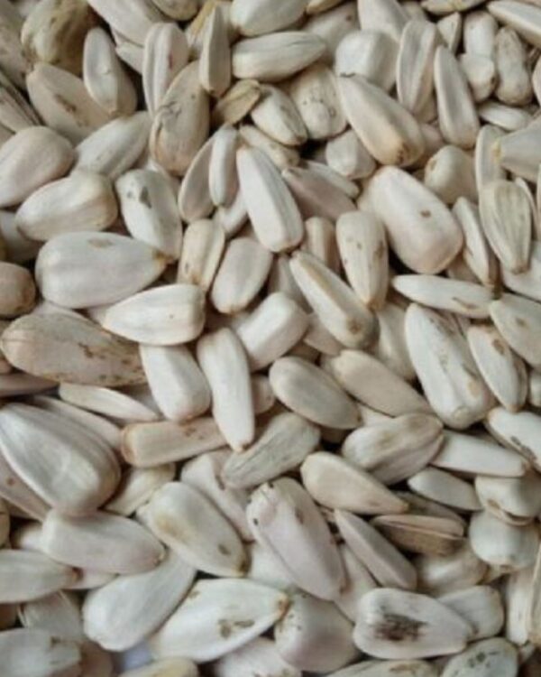SUNFLOWER SEED WHITE ( BIG ) PER KG
