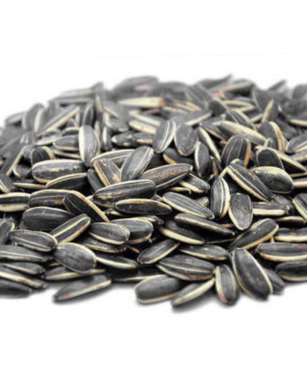 SUNFLOWER SEED ( BIG ) BLACK PER KG