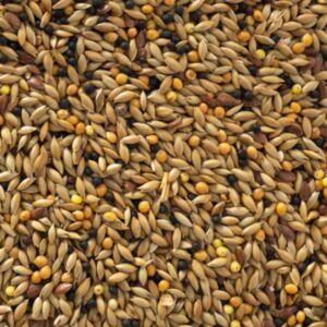 CANARY MIX PER KG