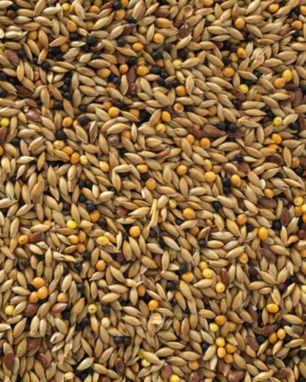 CANARY MIX PER KG