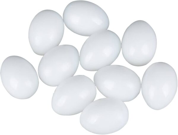ARTIFICIAL EGG ( AFRICAN GRAY )