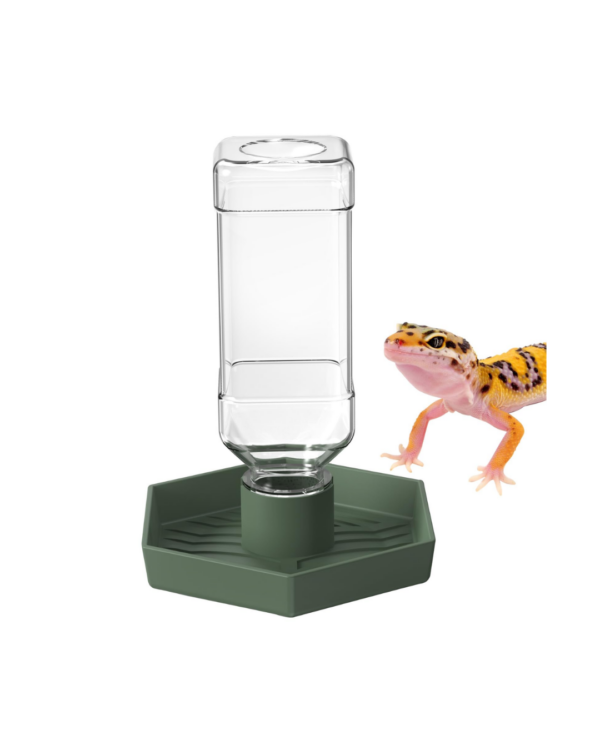 REPTILE SMALL WATER FEEDER