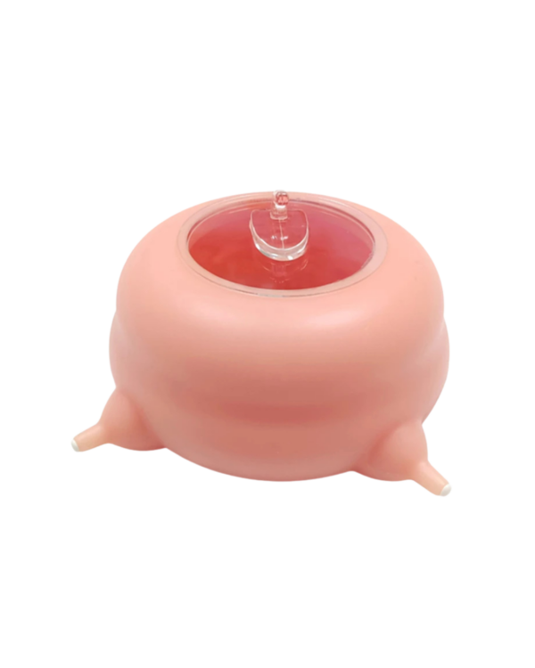 KITTEN MILK FEEDING  SUCTION CUP BREASTFEEDER MULTI-PACIFIER