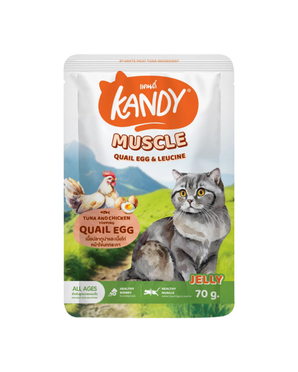 KANDY CAT WET FOOD MUSCLE FORMULA 70G